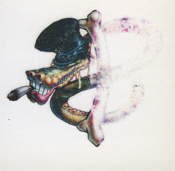 FanSource Celebrity Sales Slash Tatoo